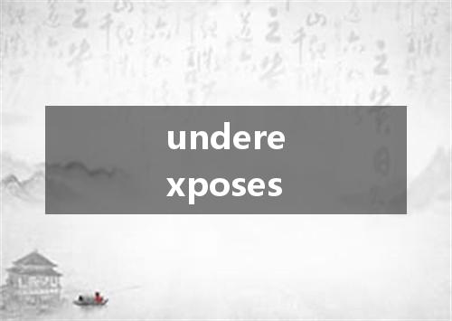 underexposes是什么意思