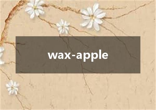wax-apple是什么意思