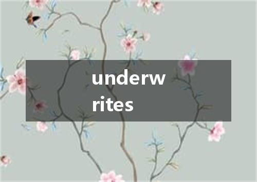 underwrites是什么意思
