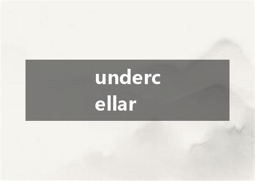 undercellar是什么意思