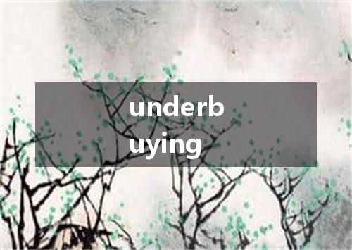underbuying是什么意思