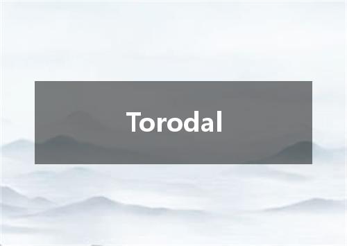 Torodal是什么意思