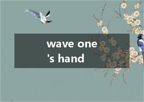wave one's hand是什么意思