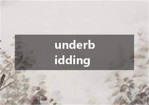 underbidding是什么意思