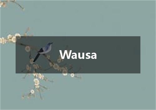 Wausa是什么意思