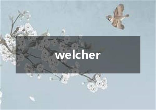 welcher是什么意思