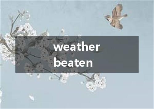 weatherbeaten是什么意思