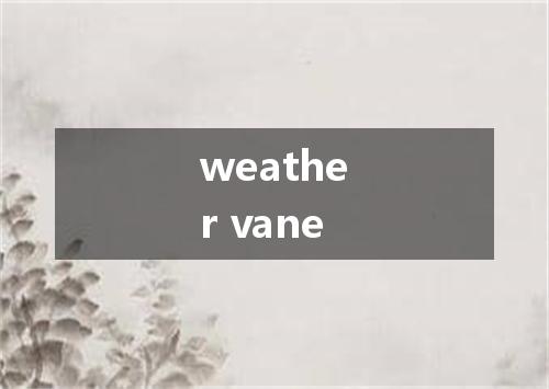 weather vane是什么意思