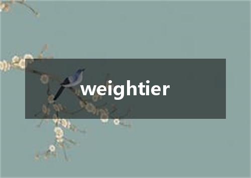 weightier是什么意思