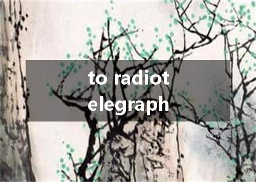 to radiotelegraph是什么意思