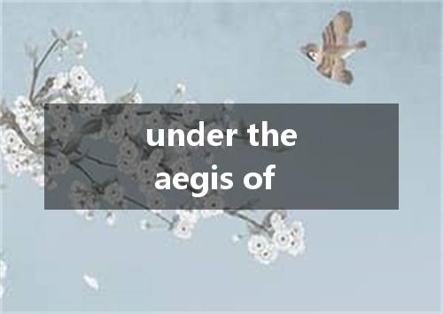 under the aegis of是什么意思