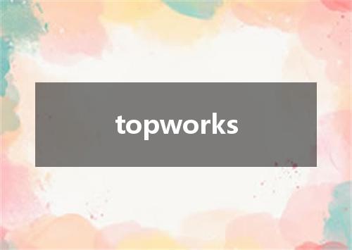 topworks是什么意思