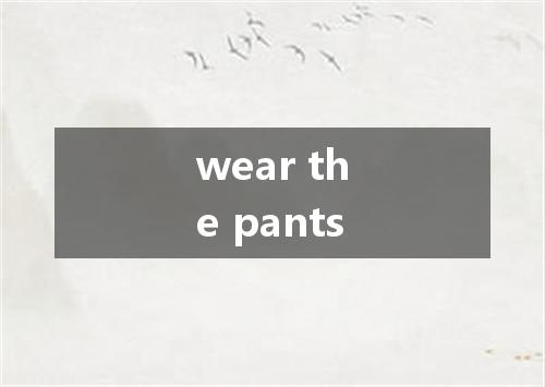 wear the pants是什么意思