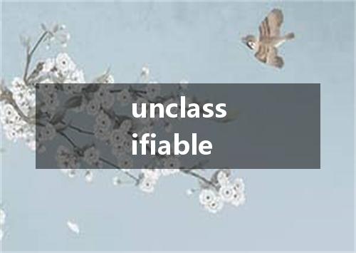 unclassifiable是什么意思