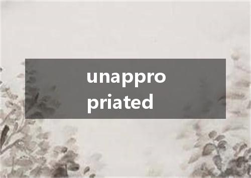 unappropriated是什么意思