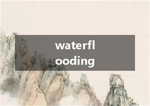 waterflooding是什么意思