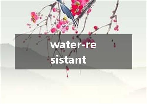 water-resistant是什么意思