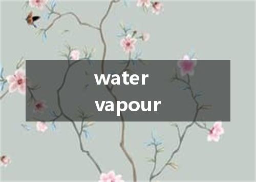water vapour是什么意思