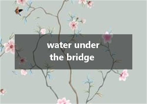 water under the bridge是什么意思