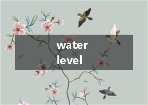 water level是什么意思