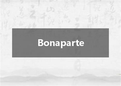 Bonaparte是什么意思