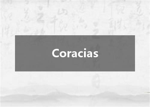 Coracias是什么意思