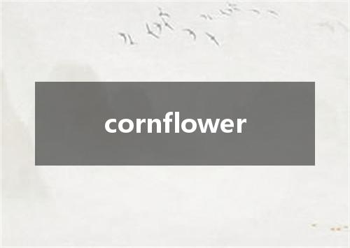 cornflower是什么意思