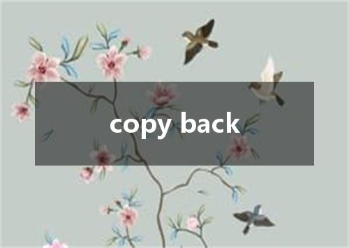 copy back是什么意思