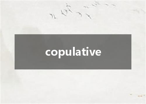 copulative是什么意思