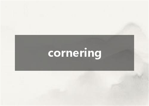 cornering是什么意思