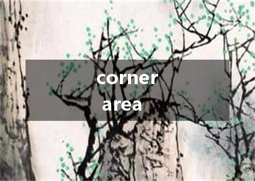 corner area是什么意思