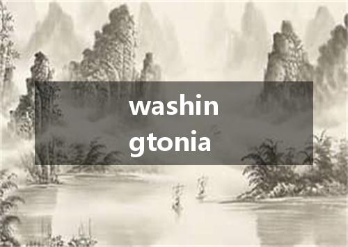 washingtonia是什么意思