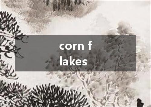corn flakes是什么意思