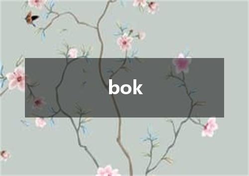 bok是什么意思