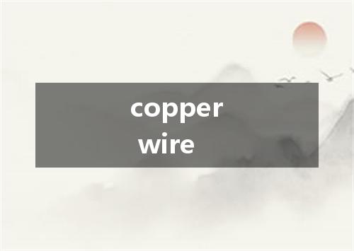 copper wire是什么意思