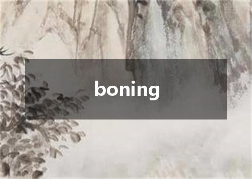 boning是什么意思