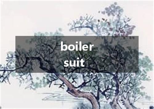 boiler suit是什么意思