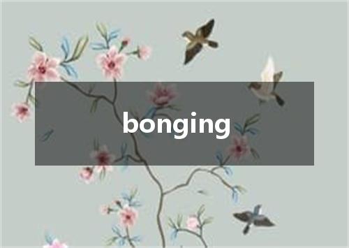 bonging是什么意思