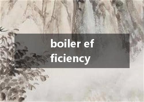 boiler efficiency是什么意思
