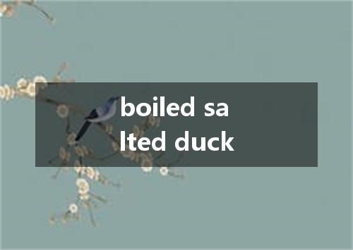 boiled salted duck是什么意思