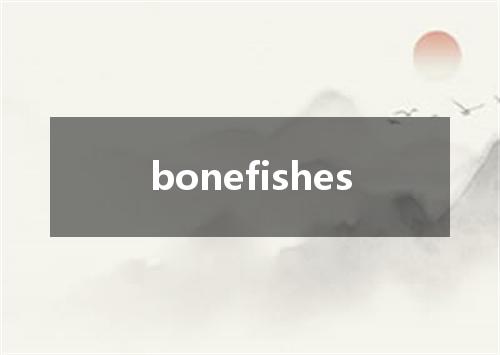 bonefishes是什么意思