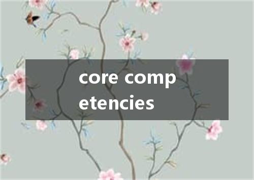 core competencies是什么意思