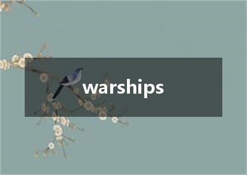 warships是什么意思