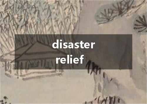 disaster relief是什么意思