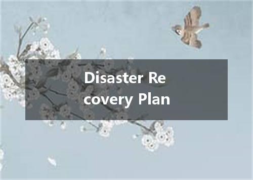 Disaster Recovery Plan是什么意思
