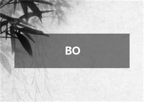 BO是什么意思