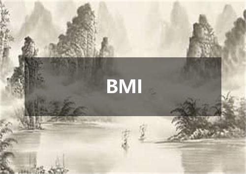 BMI是什么意思