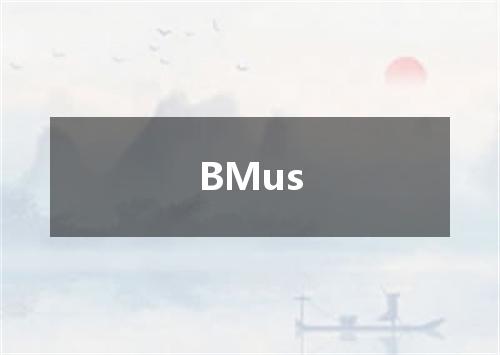 BMus是什么意思