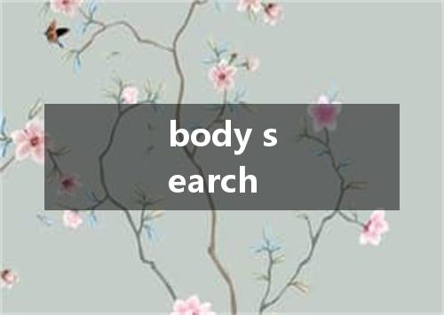 body search是什么意思