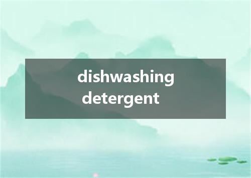 dishwashing detergent是什么意思